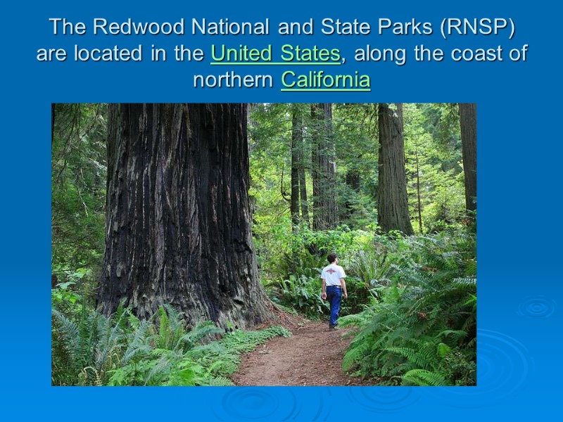 The Redwood National and State Parks (RNSP) are located in the United States, along